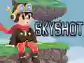 Mäng Skyshot Internetis