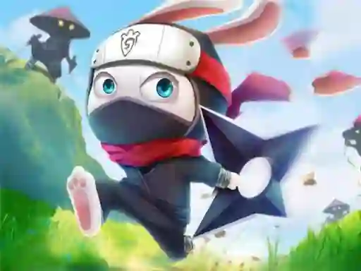 Mäng Ninja Rabbit Internetis