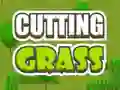 Mäng Cutting Grass Internetis