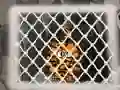 Mäng Tiger Escape 1 Internetis