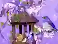 Mäng Wonderful Humming Bird Land Escape Internetis