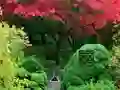 Mäng Maple Leaf Garden Escape Internetis