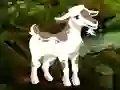 Mäng Searching Goat Child Internetis