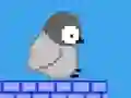 Mäng Roll Penguin game Internetis