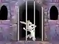 Mäng Victory Rabbit Escape Internetis