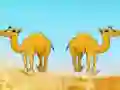 Mäng Desert Gold Rush The Great Treasure Escape Internetis