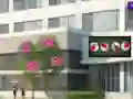 Mäng Escape From The Hospital Internetis