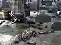 Mäng Friends Rescue From Skeleton Internetis