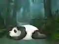 Mäng Wakeup The Sleeping Panda Internetis