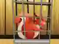 Mäng Rescue The Red Squirrel From Cage Internetis