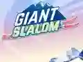 Mäng Giant Slalom Internetis