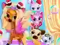 Mäng Pets Grooming Bubble Party Internetis