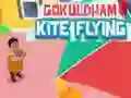 Mäng Jethalal Kite Flying Internetis