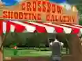 Mäng Crossbow Shooting Gallery Internetis