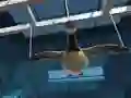 Mäng Goose Museum Internetis