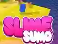 Mäng Sumo Slime 3D Internetis