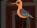 Mäng Cute Godwit Escape Internetis