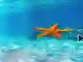 Mäng Escape From Underwater Starfish Internetis