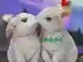 Mäng Rescue The Cupid Internetis