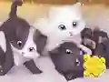 Mäng Jigsaw Puzzle: Playing Cats Internetis
