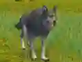 Mäng The Wolf: Wild Animal Simulator Internetis