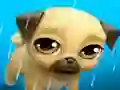 Mäng My Virtual Pet Louie the Pug Internetis