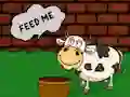 Mäng Find The Cow Feed Internetis