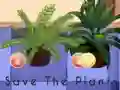 Mäng Save the Plants Internetis