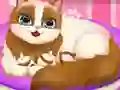Mäng Cute Kitty Pregnant Internetis