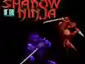 Mäng Shadow of the Ninja Internetis