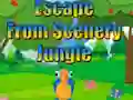 Mäng Escape from Scenery Jungle Internetis