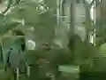 Mäng Mystery Garden Escape Internetis