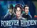 Mäng Forever Hidden Internetis