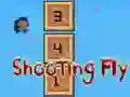 Mäng Shooting Fly Internetis
