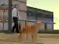 Mäng Cat City Simulator Internetis
