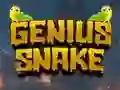 Mäng Genius Snake Internetis