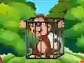 Mäng Free the Captive Ape Internetis