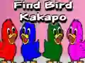 Mäng Find Bird Kakapo Internetis