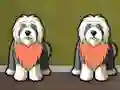 Mäng Find Dog Bailey Internetis