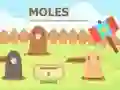 Mäng Mole A Whack Internetis