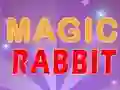 Mäng Magic Rabbit Internetis