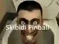 Mäng Skibidi Pinball Internetis