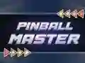 Mäng Pinball Master Internetis