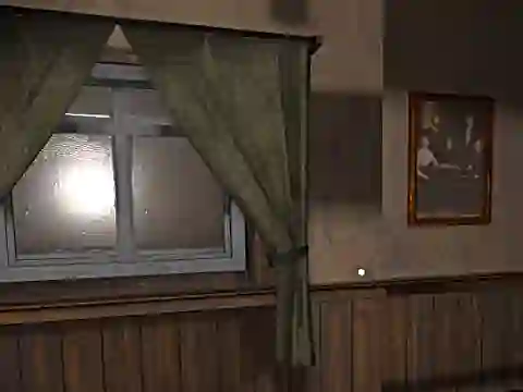 Mäng Hide and Seek Pro Internetis
