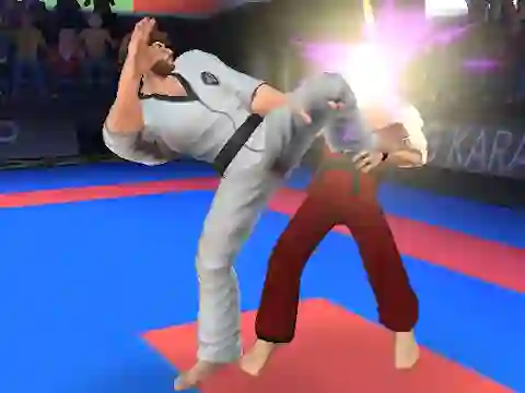 Mäng Karate Fighter Internetis