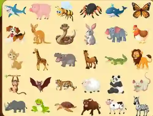Mäng Discover Animals Internetis