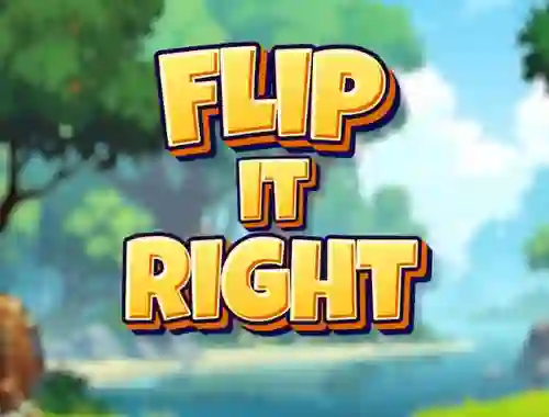 Mäng Flip It Right Internetis