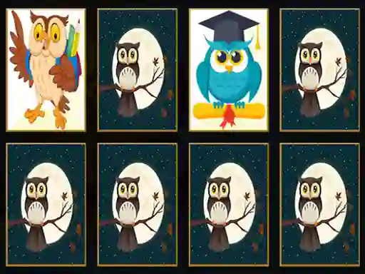 Mäng Cute Owl Memory Internetis