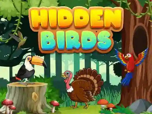 Mäng Hidden Birds Internetis