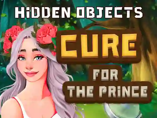 Mäng Hidden Objects Cure For The Prince Internetis